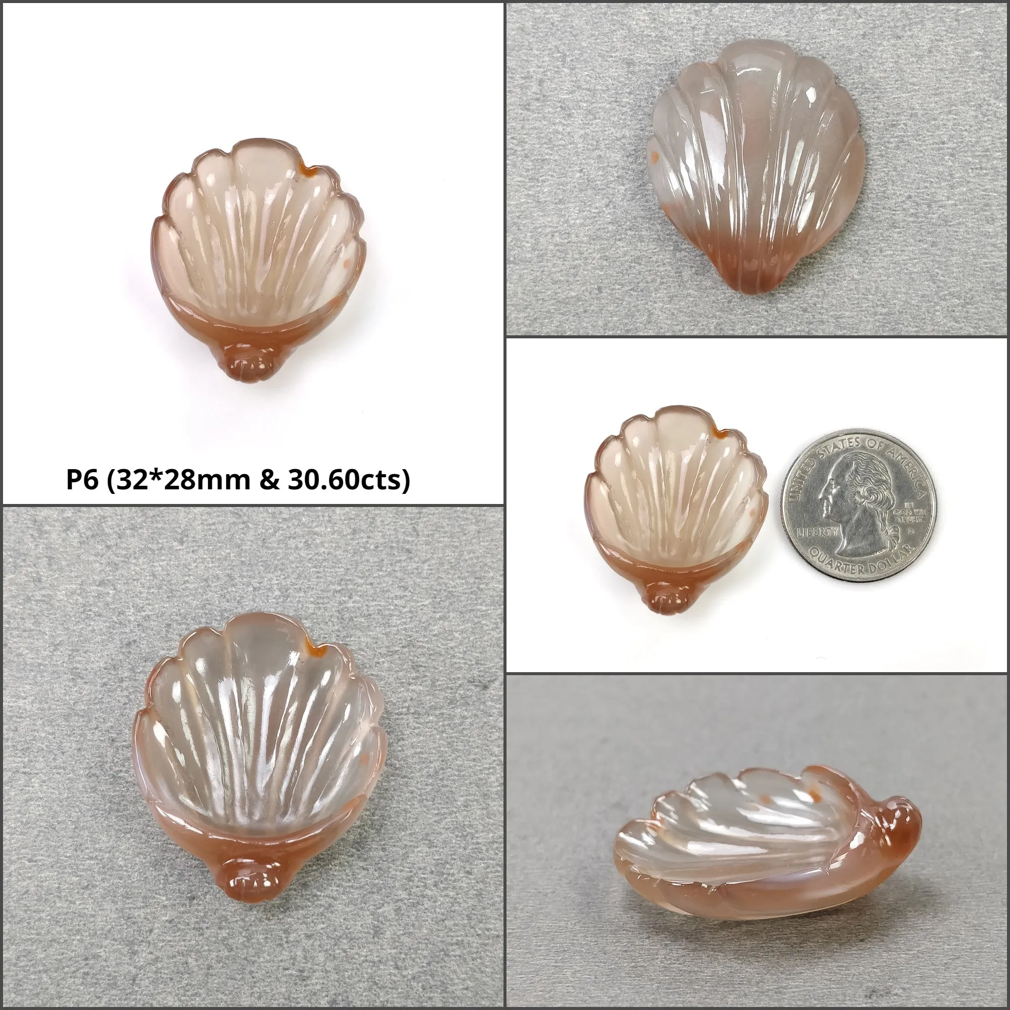 AGATE Gemstone Carving : Natural Untreated Unheated Orange Agate Hand Carved SEA SHELL And Uneven Shape Carving