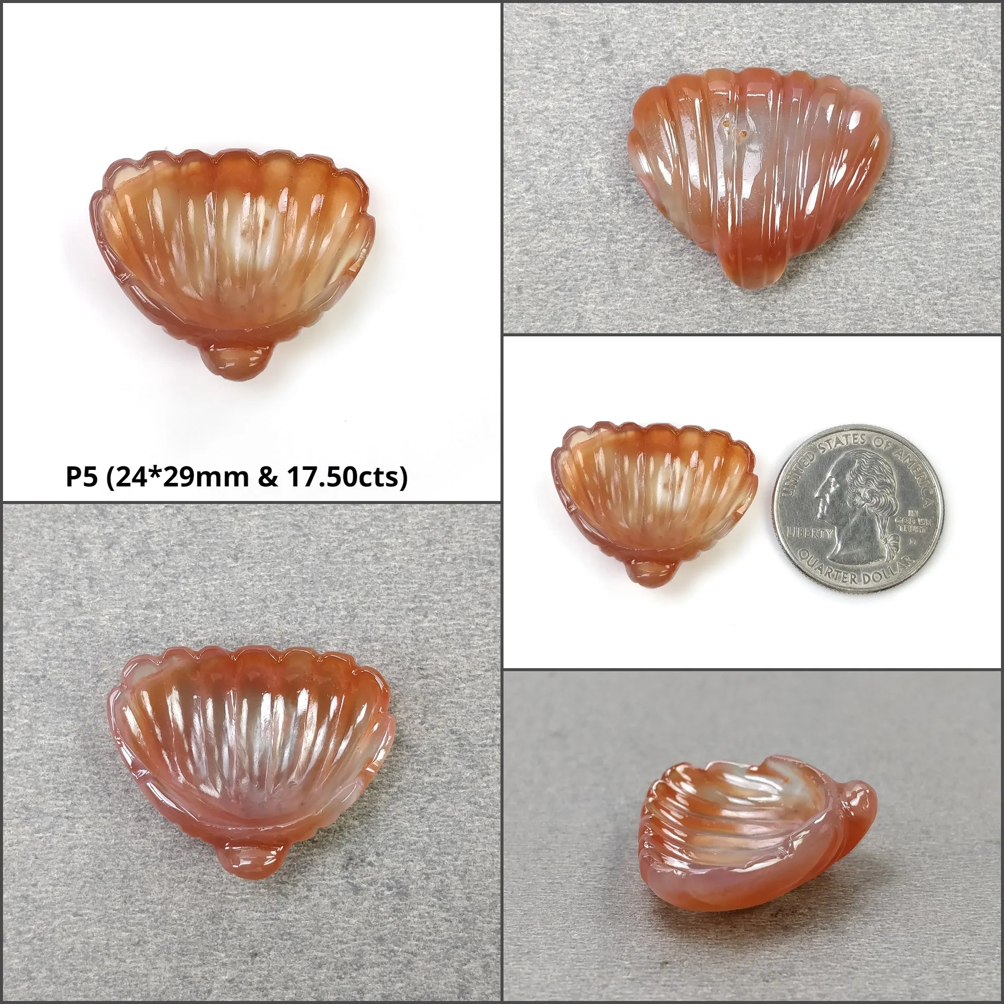 AGATE Gemstone Carving : Natural Untreated Unheated Orange Agate Hand Carved SEA SHELL And Uneven Shape Carving