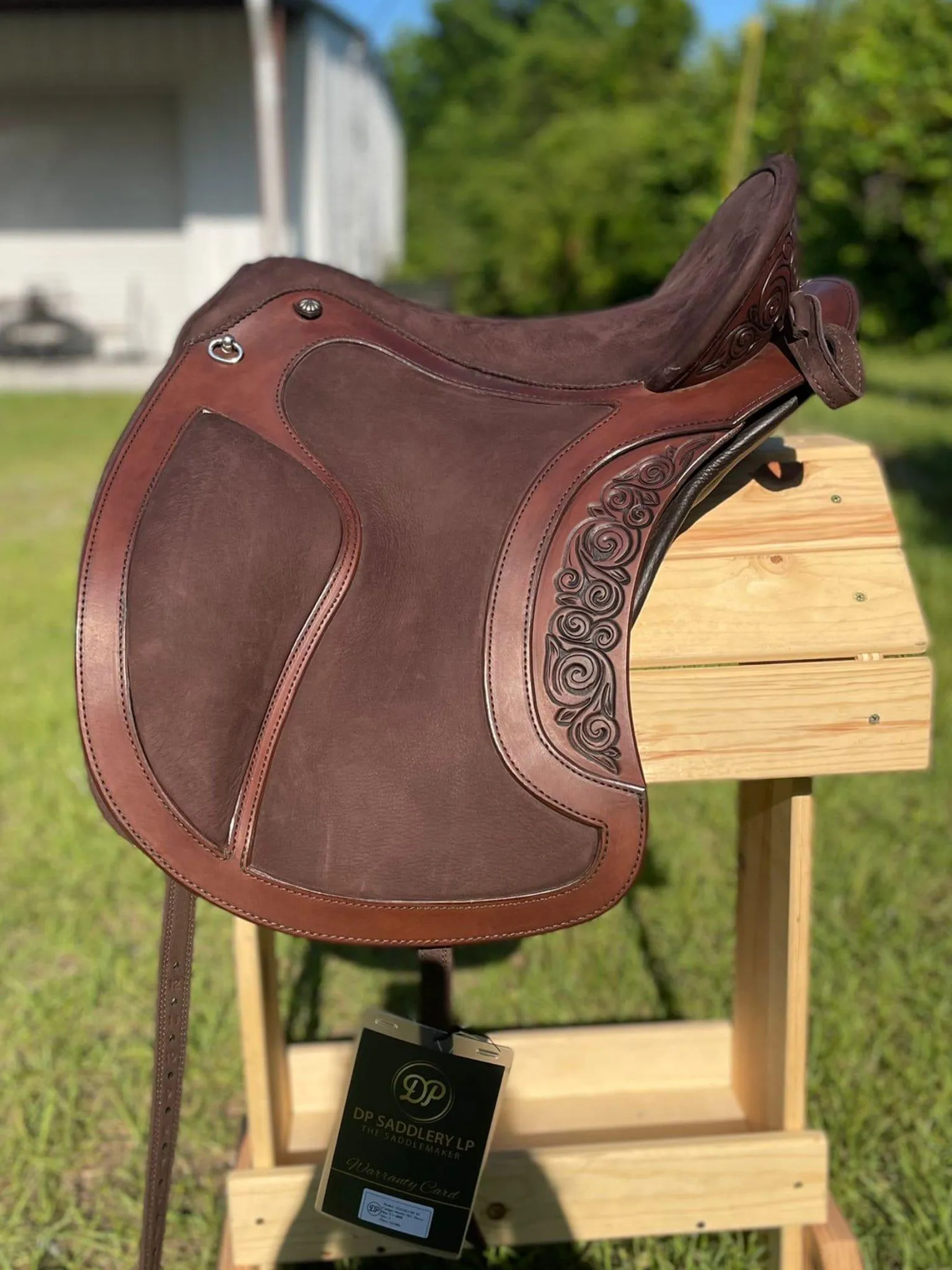 DP Saddlery El Campo SKL  Decor Shorty 4888